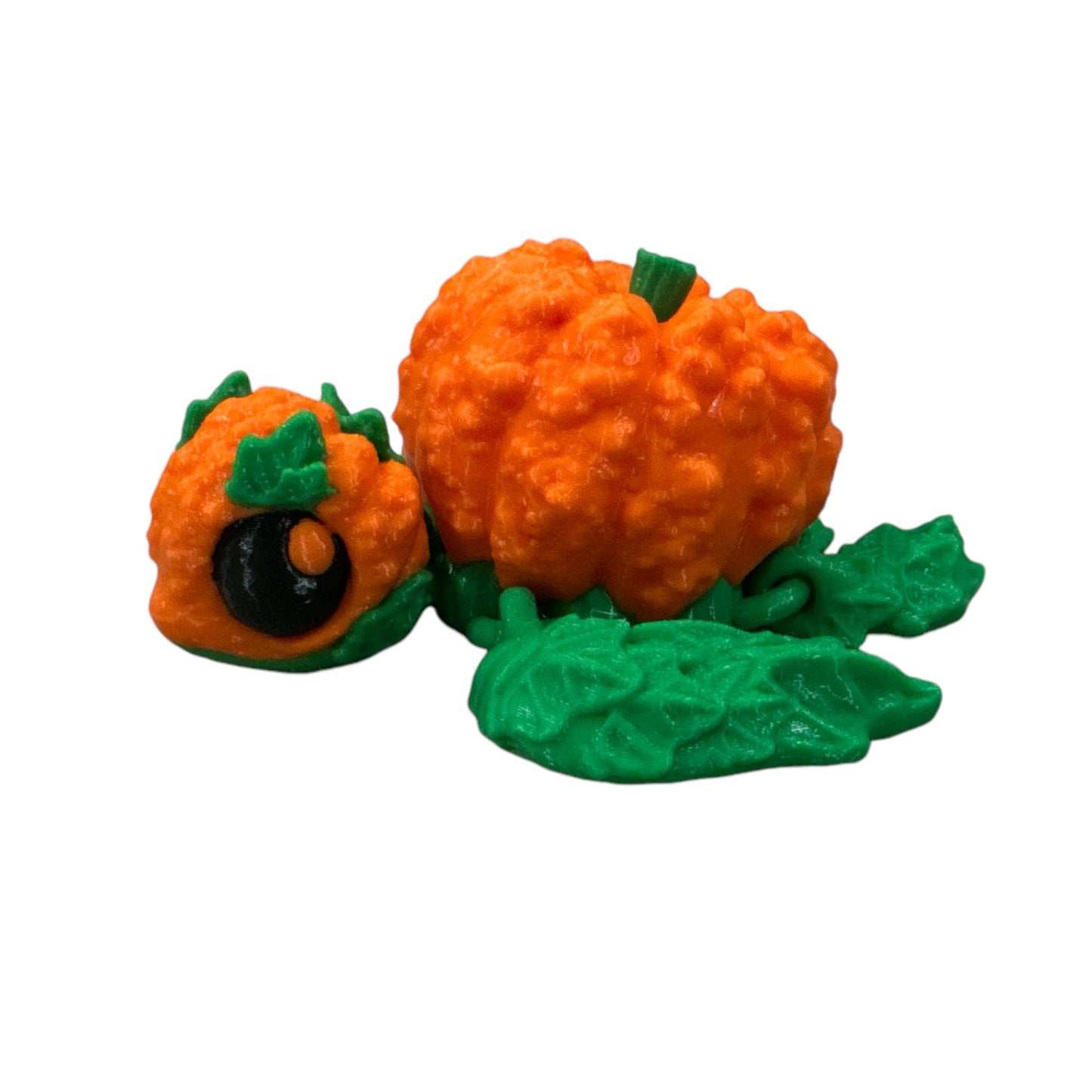 Pumpkin Turtle