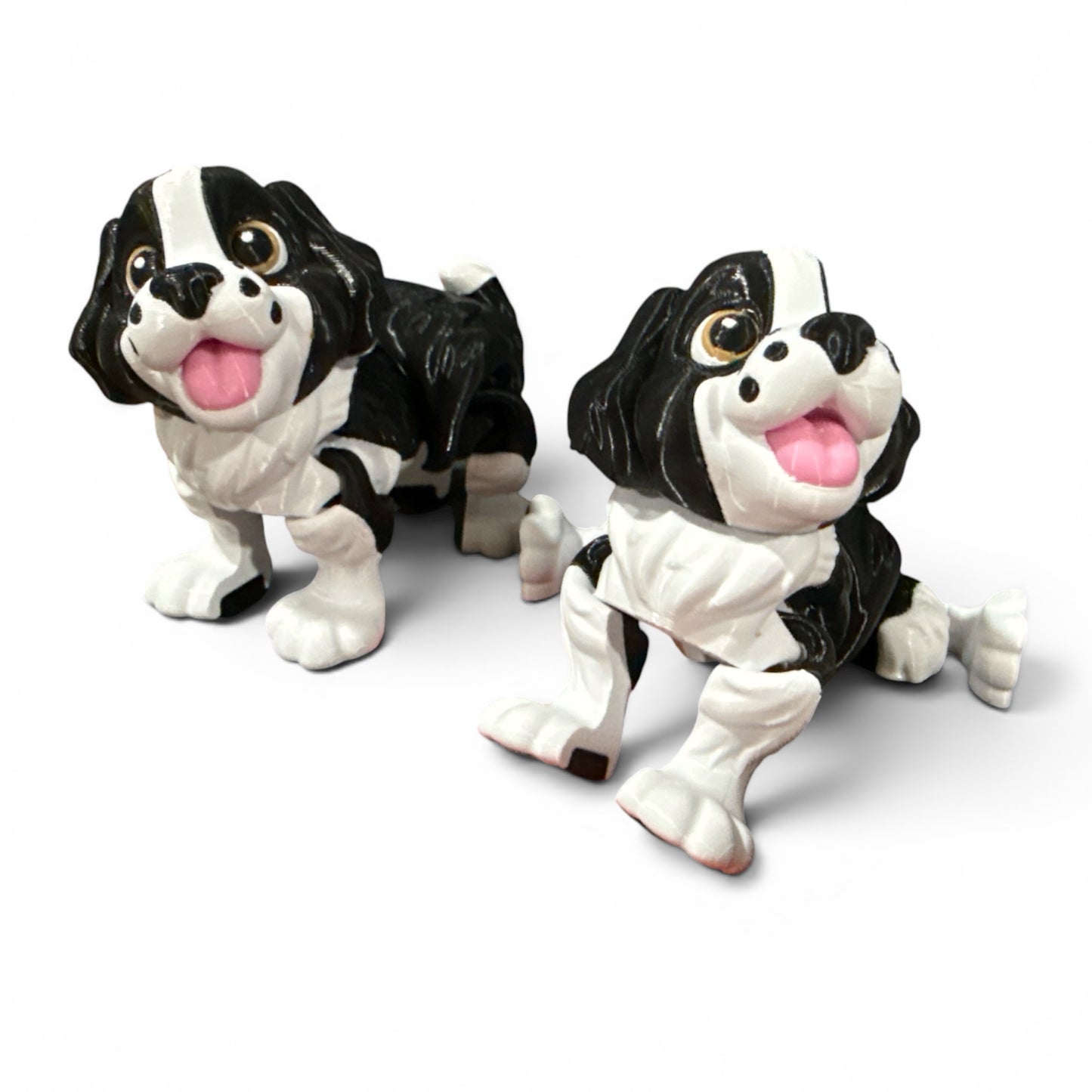 Springer Spaniel