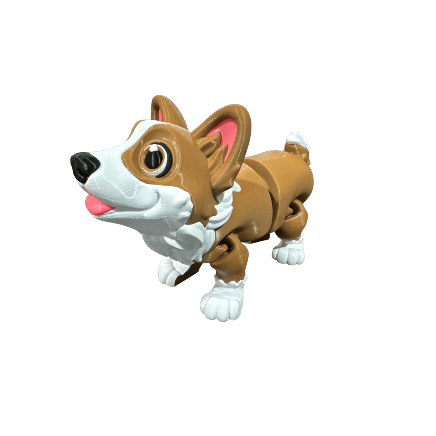 Corgi