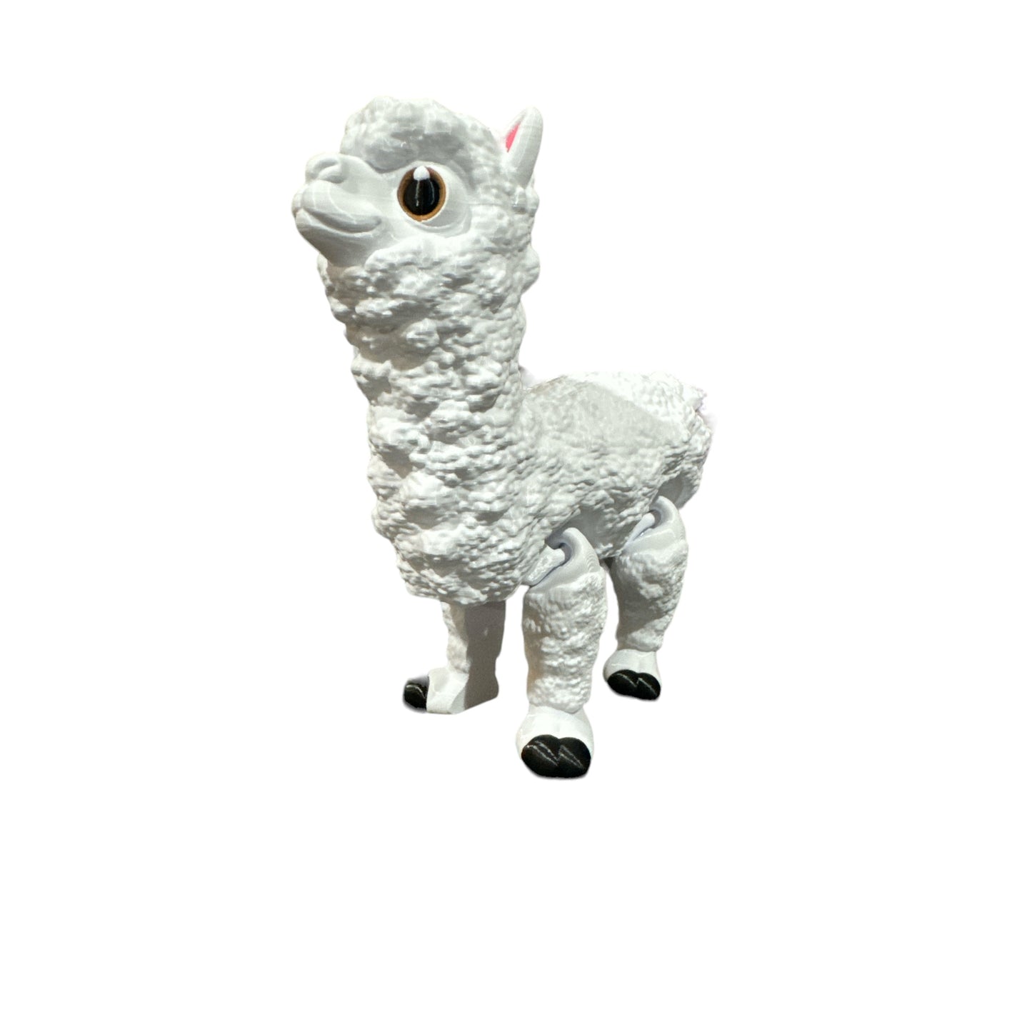 Alpaca