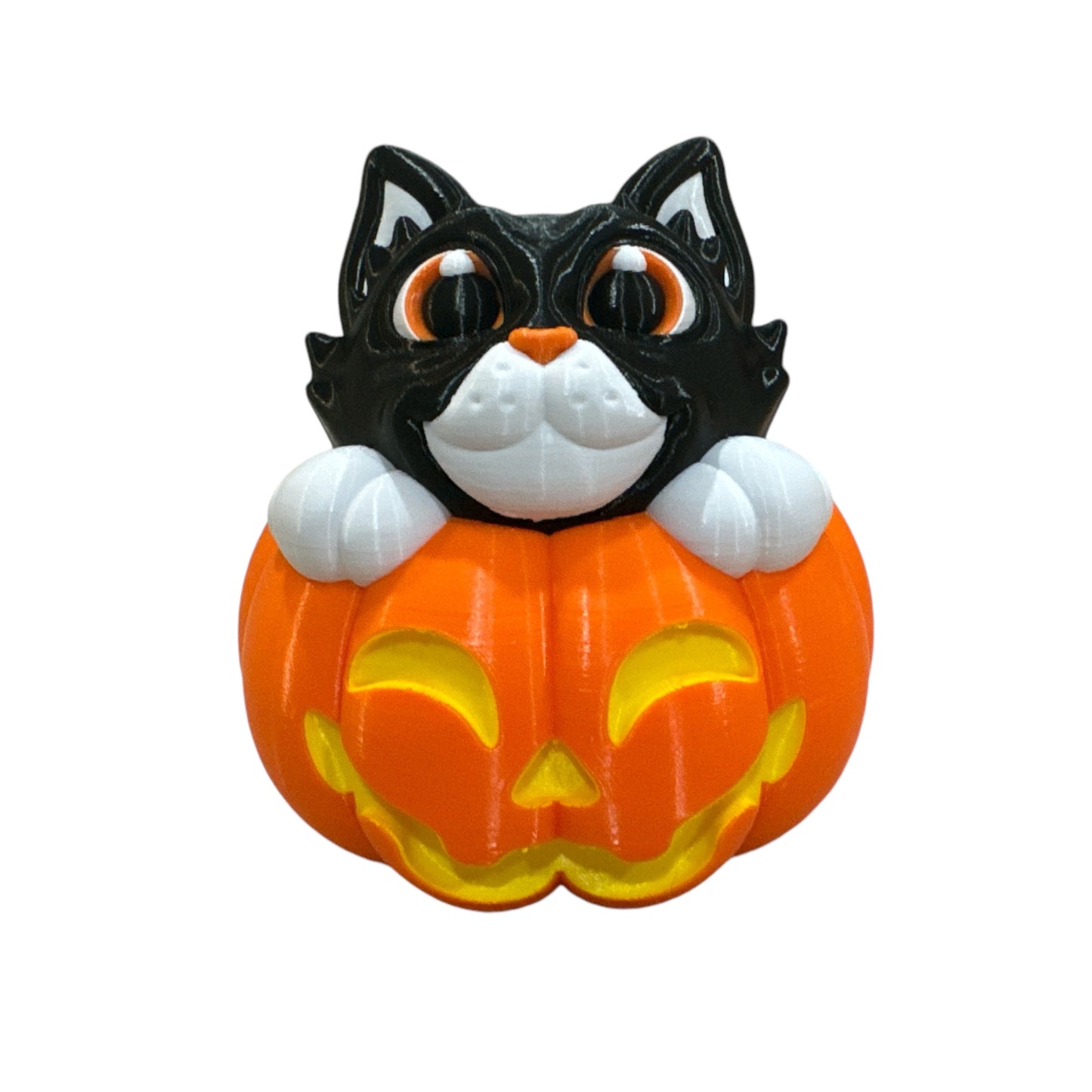 Cat Inside Halloween Pumpkin