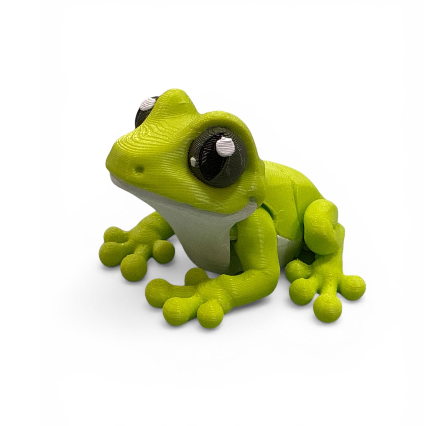 Frog - Magnet